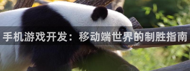沐鸣2代理