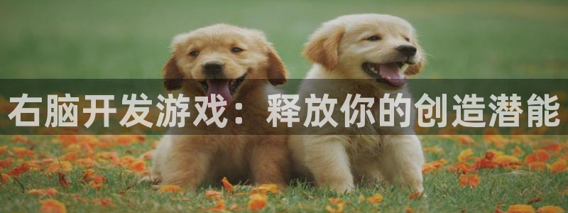沐鸣2平台官方注册登录