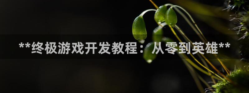 沐鸣2注册登陆