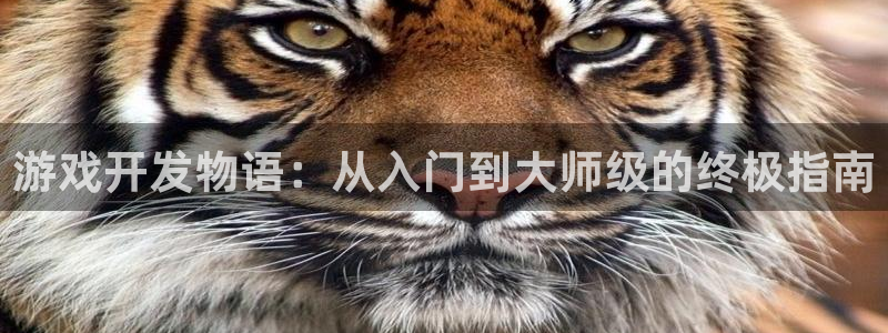 沐鸣娱乐2