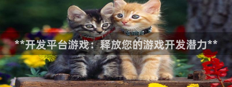 沐鸣2平台负责人