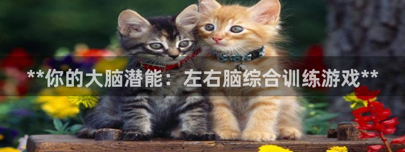 沐鸣2注册登陆