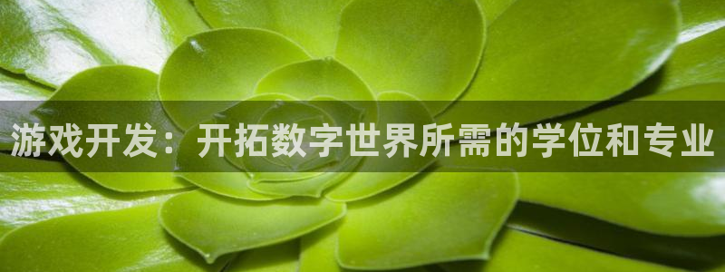 沐鸣2平台代理