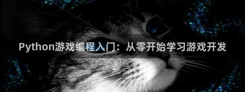 沐鸣2登录网址：Python游戏编程入门：从零开始学习游戏开发