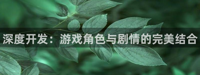 沐鸣娱乐2是正规平台么吗：深度开发：游戏角色与剧情的完美结合