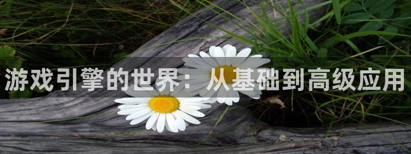 沐鸣2登录测速：游戏引擎的世界：从基础到高级应用