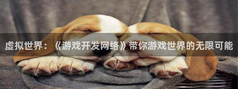 沐鸣娱乐2是干嘛的：虚拟世界：《游戏开发网络》带你游戏世界的无限可能