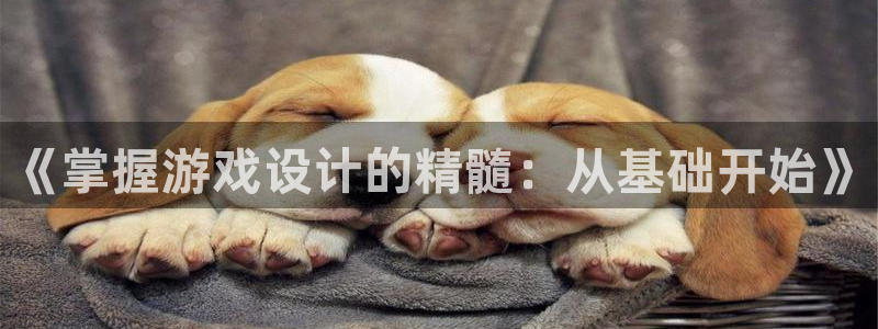 沐鸣2平台官方注册登录：《掌握游戏设计的精髓：从基础开始》