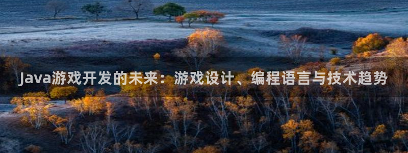 沐鸣娱乐2是干嘛的：Java游戏开发的未来：游戏设计、编程语言与技术趋势