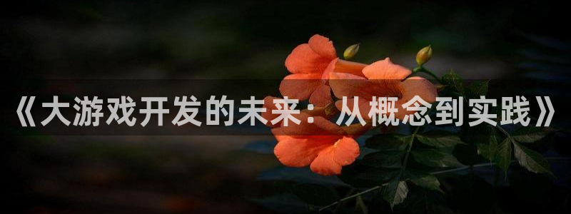 沐鸣娱乐2电脑版：《大游戏开发的未来：从概念到实践》