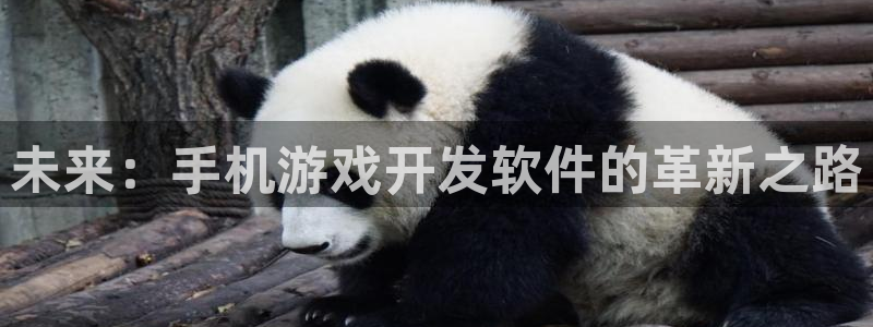 沐鸣2注册开户：未来：手机游戏开发软件的革新之路