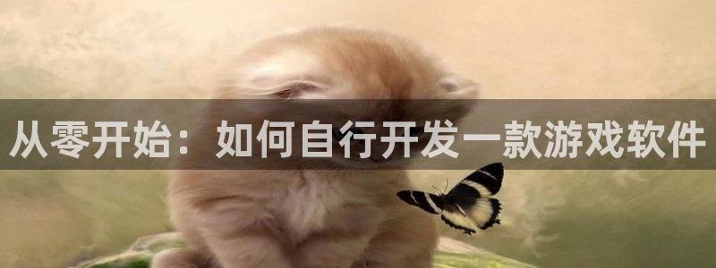沐鸣娱乐2注册账号：从零开始：如何自行开发一款游戏软件