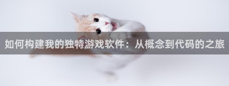 沐鸣2客服：如何构建我的独特游戏软件：从概念到代码的之旅
