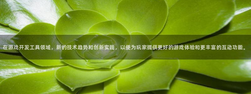 沐鸣娱乐2客服：在游戏开发工具领域，新的技术趋势和创新实践，以便为玩家提供更好的游戏体验和更丰富的互动功能。