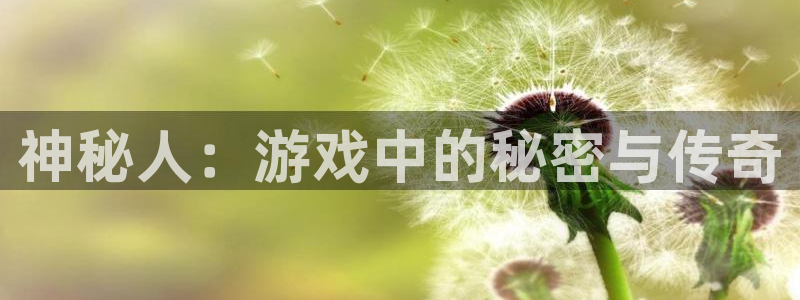 沐鸣2平台测速：神秘人：游戏中的秘密与传奇