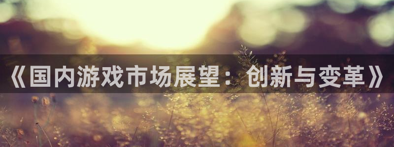 沐鸣2注册说来77542：《国内游戏市场展望：创新与变革》