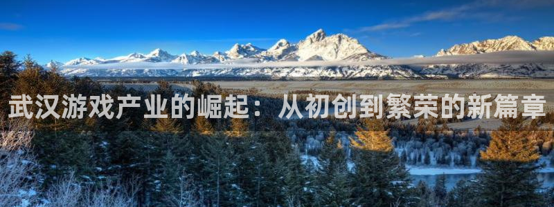 沐鸣娱乐2登录平台：武汉游戏产业的崛起：从初创到繁荣的新篇章